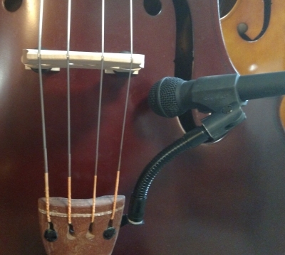 bassonstage