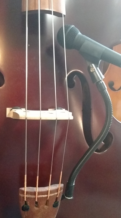 bassonstage