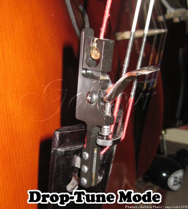 D bass store tuning